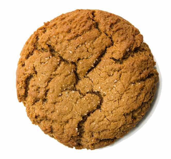 ginger-spice-big-cookie-blue-flour-bakery
